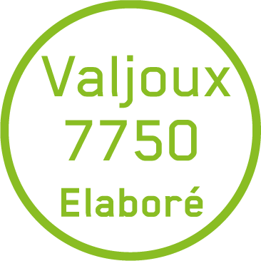 Icon-Valjoux7750_Elabor